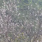 El Rincon Del Senderista 公寓