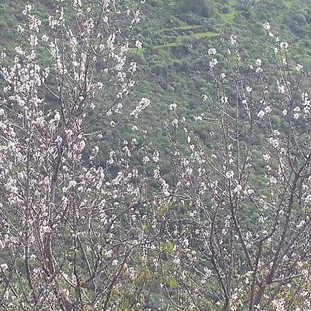 El Rincon Del Senderista 아파트