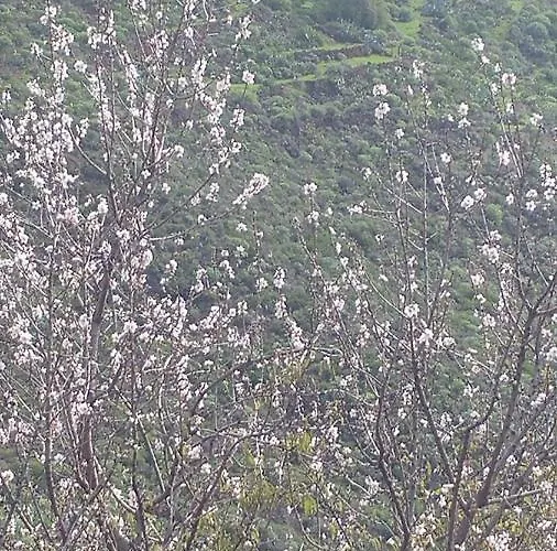 El Rincon Del Senderista アパート